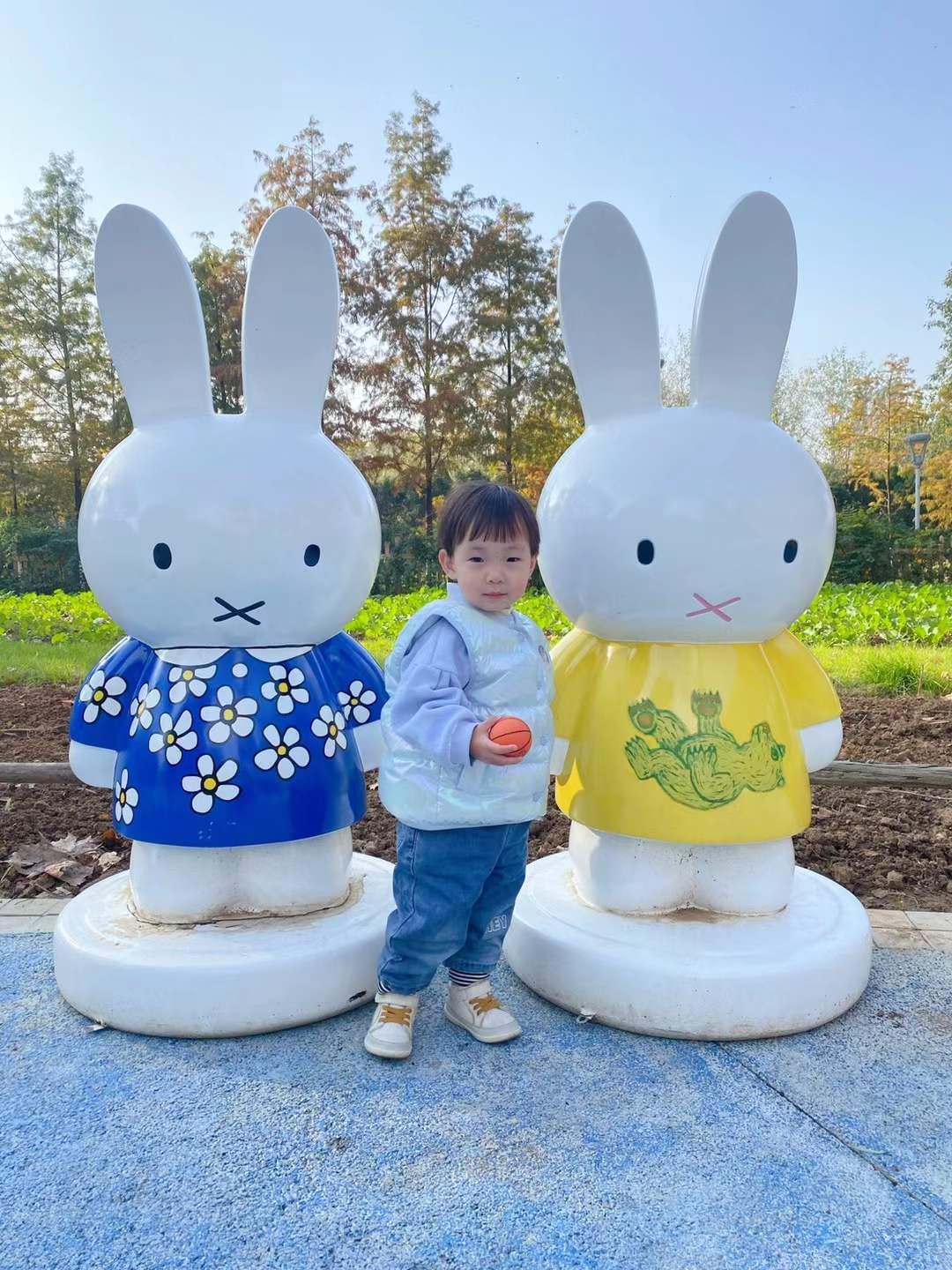 兔子和我